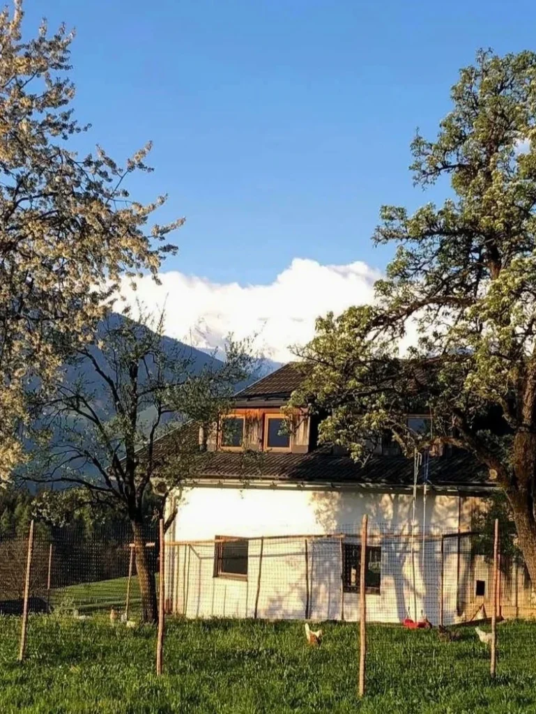 Hundegger hof